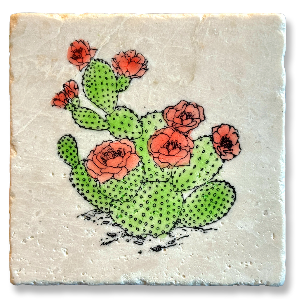 Stone Coasters