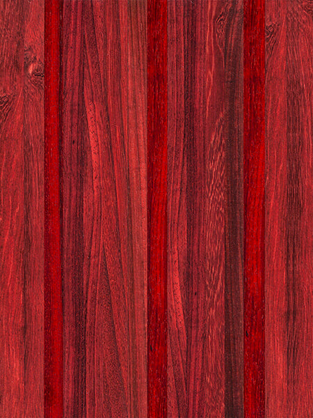 bundle_image